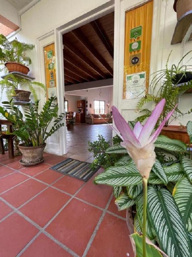 Villa Caribbean Dream วิเยอซ์ฟอร์ ภายนอก รูปภาพ