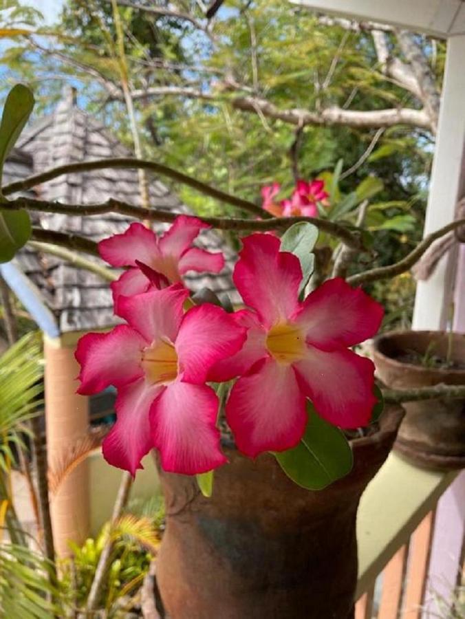 Villa Caribbean Dream วิเยอซ์ฟอร์ ภายนอก รูปภาพ